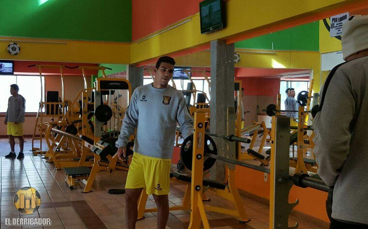 100% Tigre
