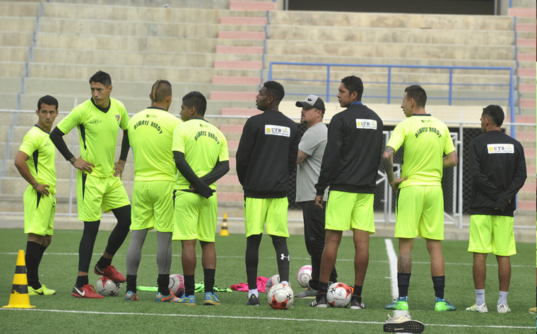 Always delinea la plantilla