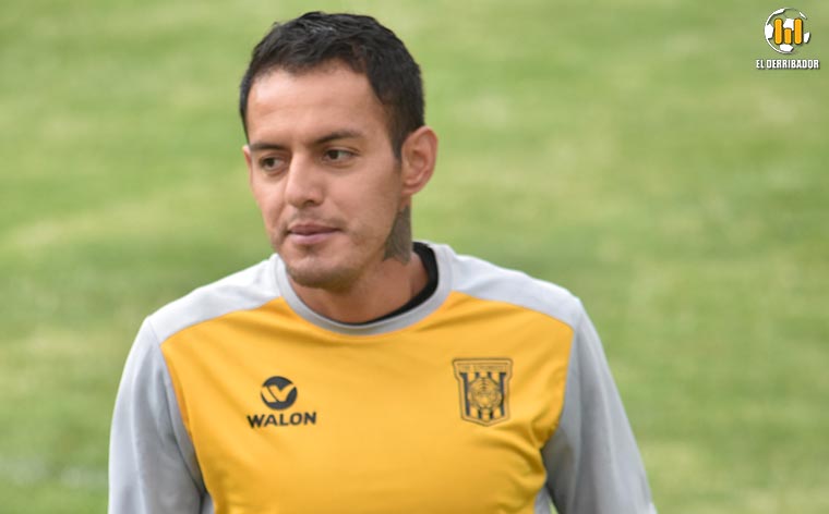 Campos de titular