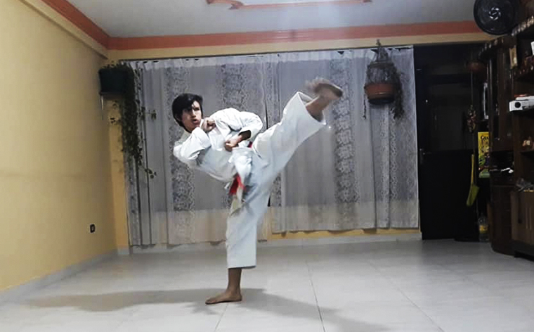 Cochabamba gana en el kárate virtual