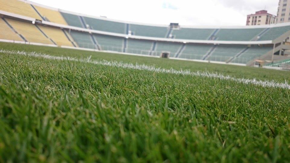 El gramado está impecable