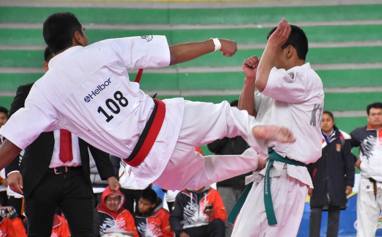 En el karate dominó Santa Cruz