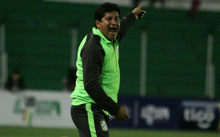 Lechuga no llega