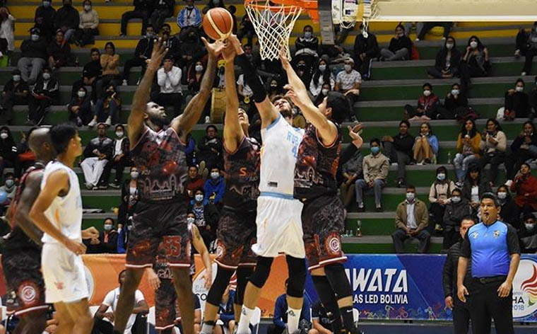 Libobasquet
