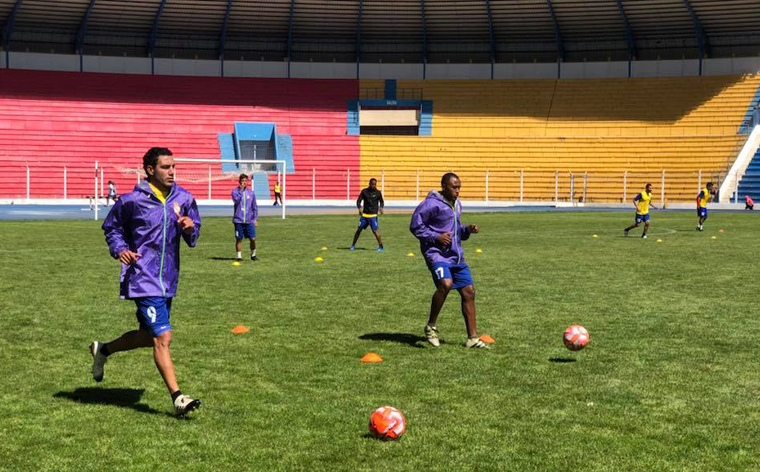 Lilas con paciencia y concentrados