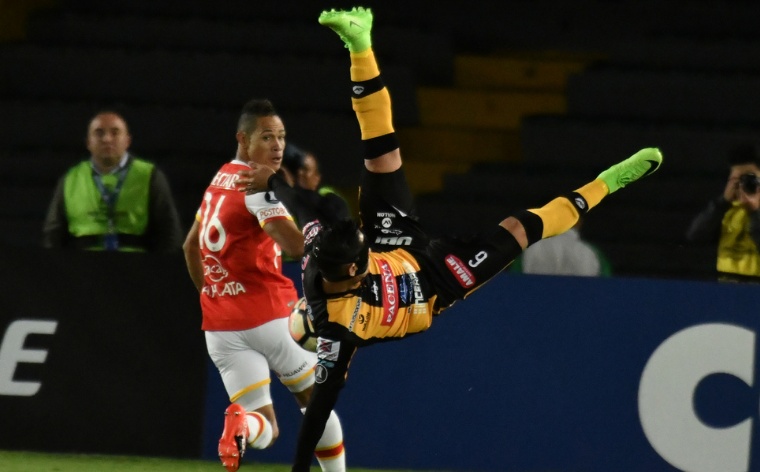 Lucha por los premios