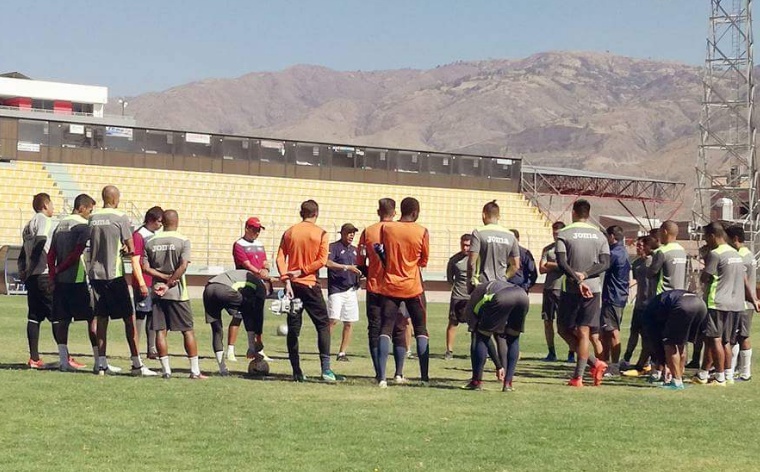 Ni a Wilster le gusta