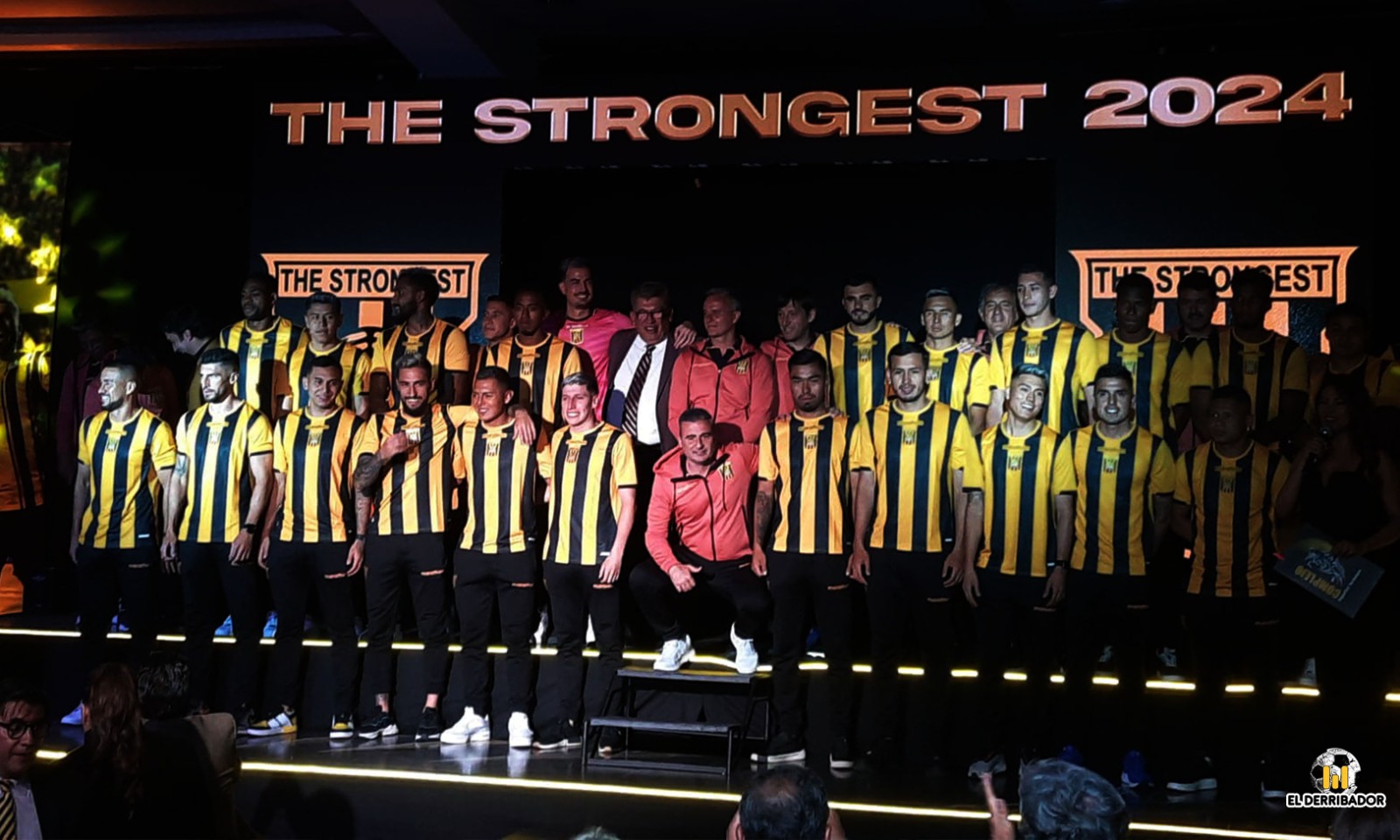 Nueva piel gualdinegra 