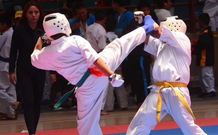 Open de karate