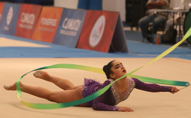 Panamericano de gimnasia