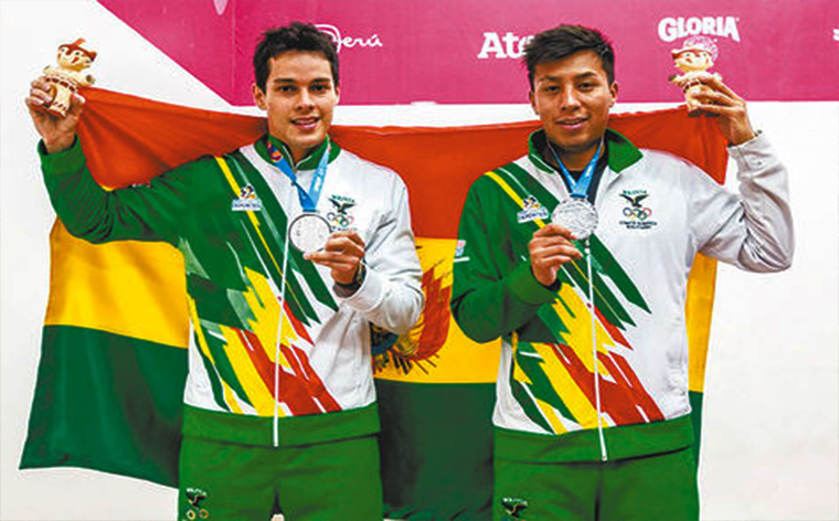 Plata Panamericana