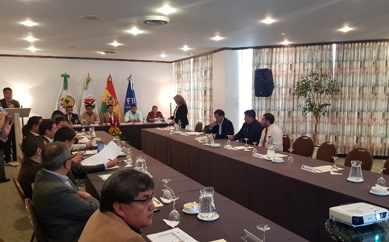 Reunión de la División Profesional