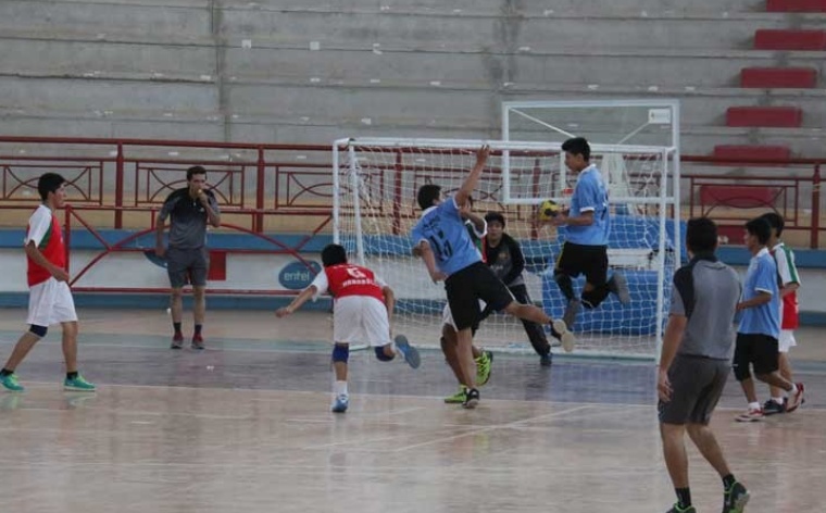 Selectivo de handball