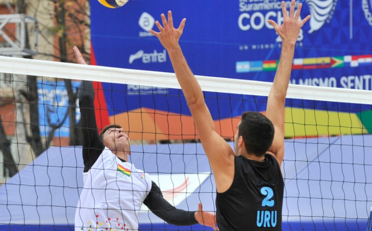 Sudamericano ganado