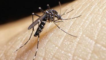 ¿Y si suspendemos los Juegos?