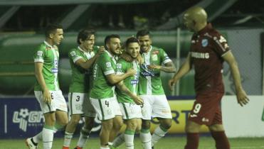 Aplanadora albiverde