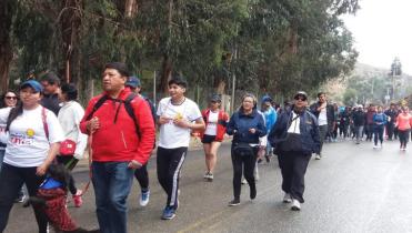 Caminamos por la vida