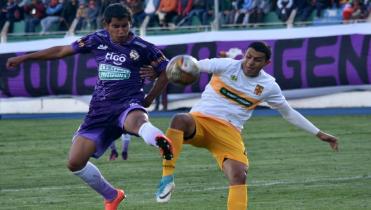 Canario con bajas