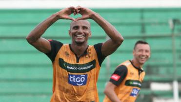 Canario sin problemas