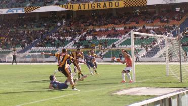 El Tigre sabe todo sobre Blooming