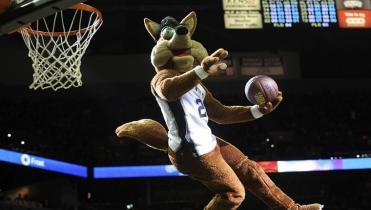 Otra mascota retirada