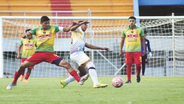 Palmaflor clasificado