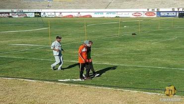 Parte gualdinegro