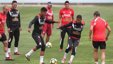   Perú llega a Nueva Zelanda