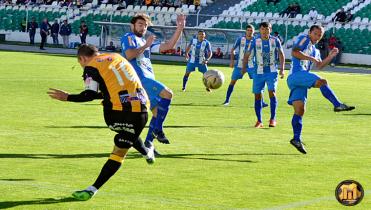 Tigre recuperado