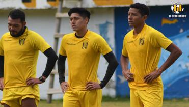 Tigres encapsulados