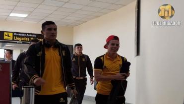 Un Tigre en casa