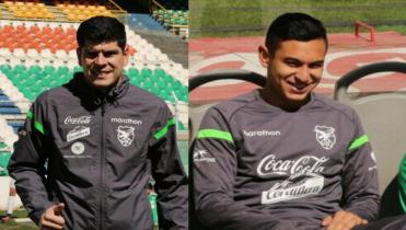 Verde completa