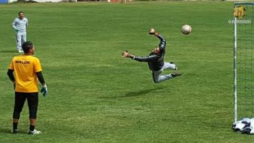 Volando hacia un nuevo Tigre