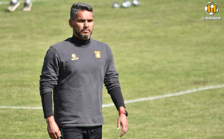 Tigre taciturno