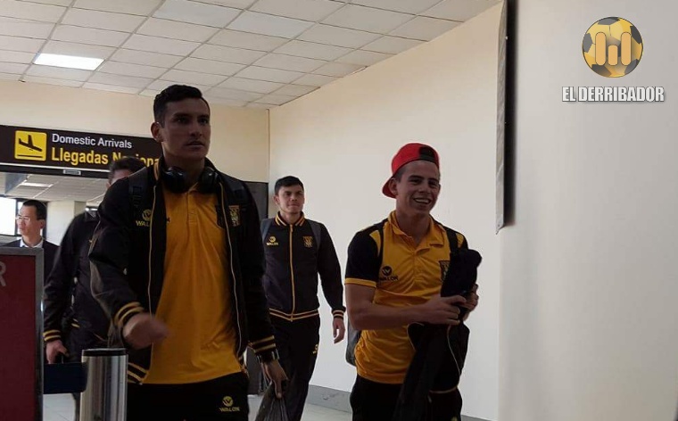 Un Tigre en casa