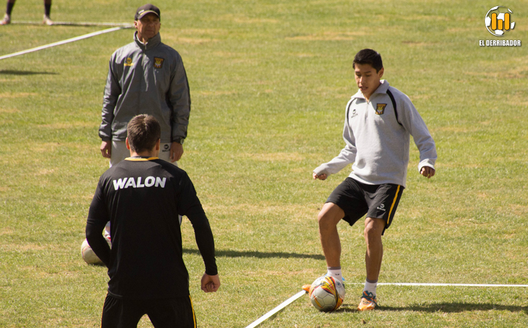 Wayar vuelve al trabajo